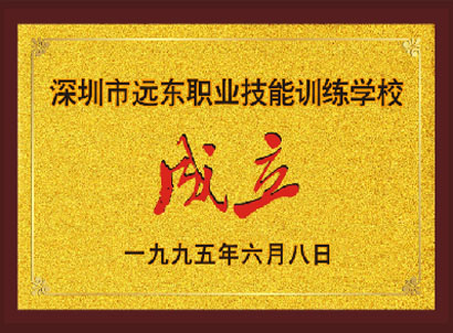 1995年6月远东成立