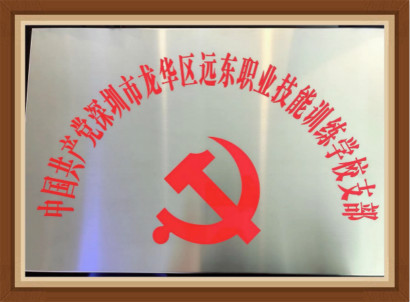 远东技能学校党支部